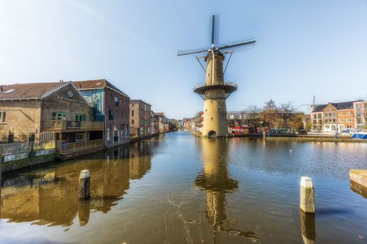 Lunchen Schiedam: dit zijn de lekkerste lunchplekken voor Boxmeerse dagjesmensen