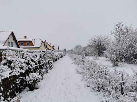 Sneeuw op straat in Boxmeer bij woningen en geparkeerde auto's tijdens een winterse bui