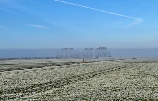 Weer 14 dagen Boxmeer: buien, hagel en lokale vooruitblik
