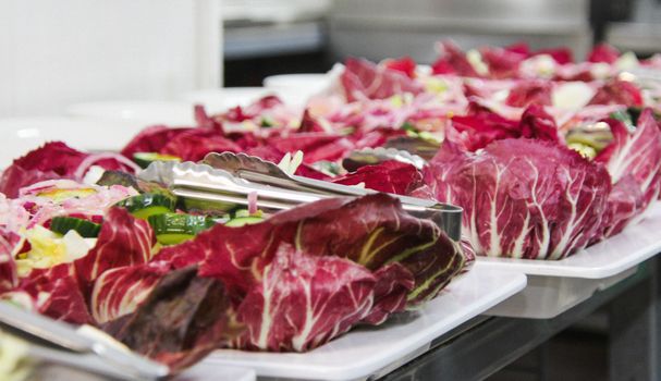 Biologisch restaurant Boxmeer: hier eet je duurzamer in de regio